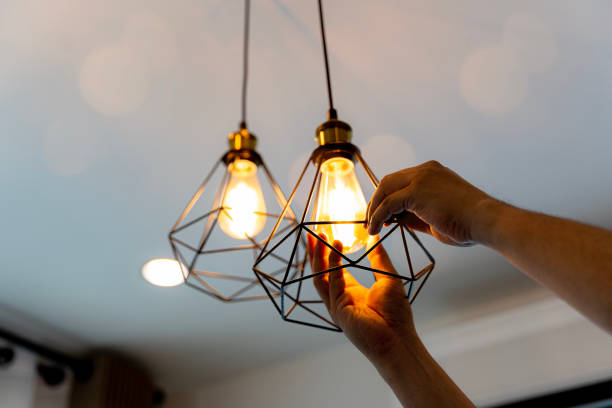Best Affordable Electrician  in Elkhorn, WI